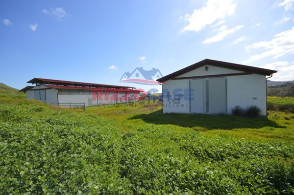 terreno agricolo in vendita a Crosia in zona Mirto