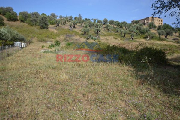 terreno agricolo in vendita a Crosia in zona Mirto