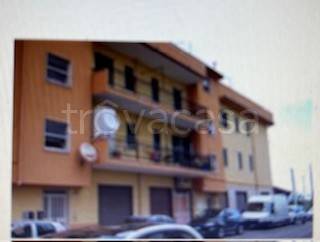 appartamento in vendita a Crosia in zona Mirto