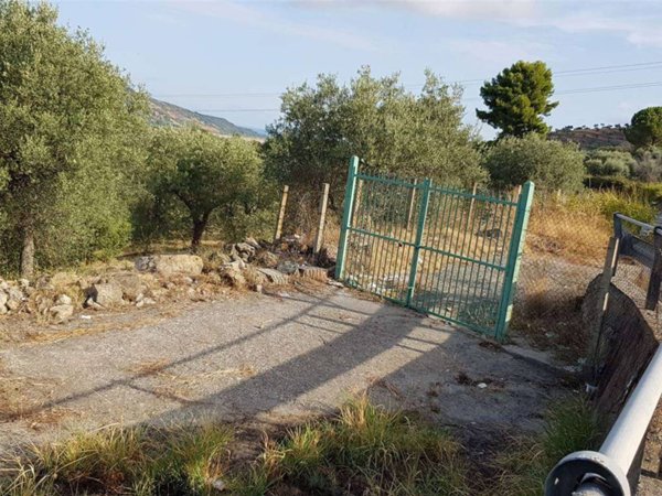 terreno agricolo in vendita a Crosia