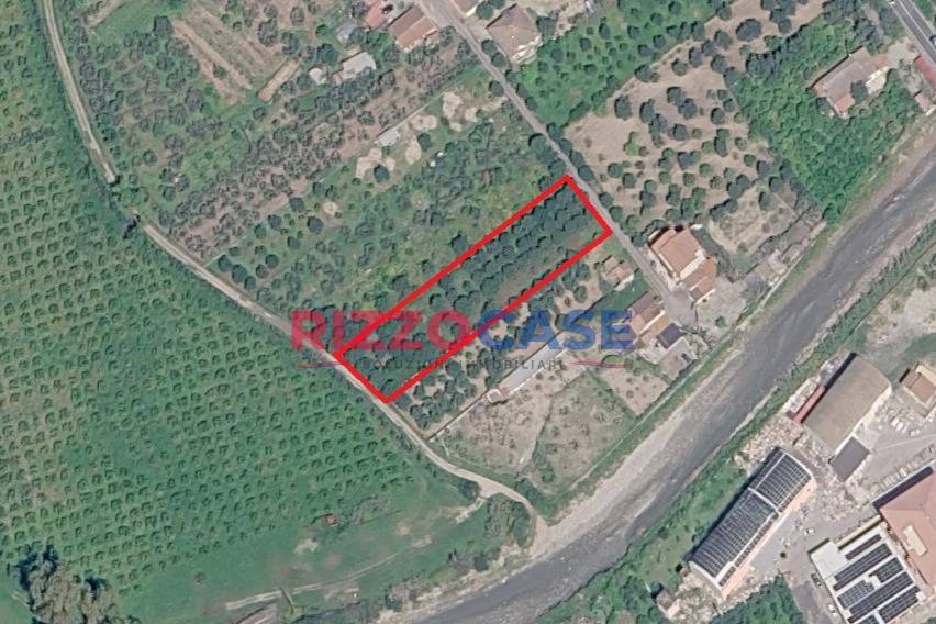 terreno agricolo in vendita a Crosia in zona Fiumarella