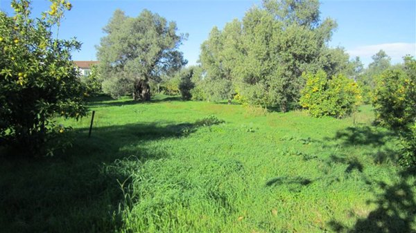 terreno in vendita a Crosia in zona Mirto
