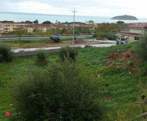 terreno agricolo in vendita a Diamante