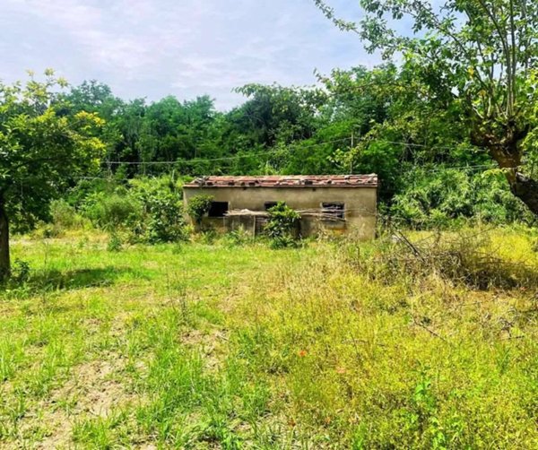 casa indipendente in vendita a Diamante