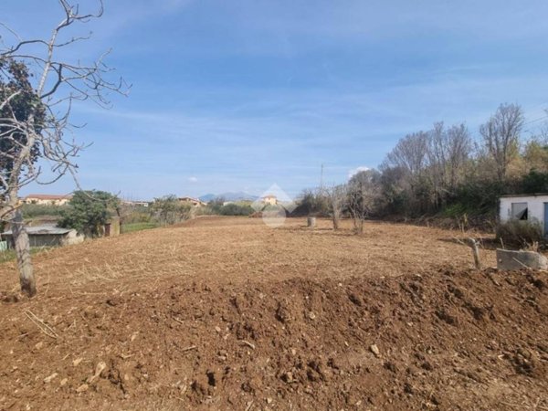 terreno agricolo in vendita a Diamante