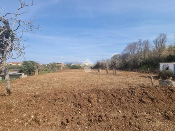 terreno agricolo in vendita a Diamante