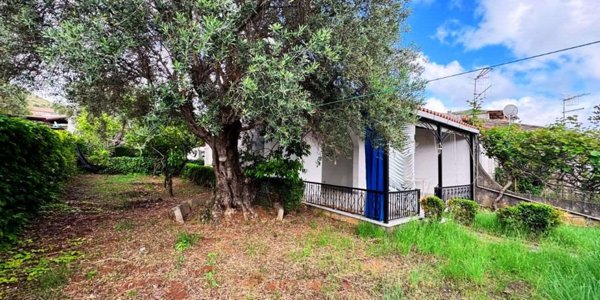 casa indipendente in vendita a Diamante