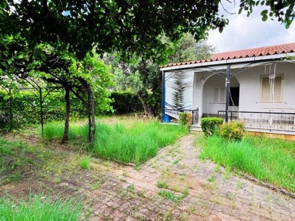 casa indipendente in vendita a Diamante