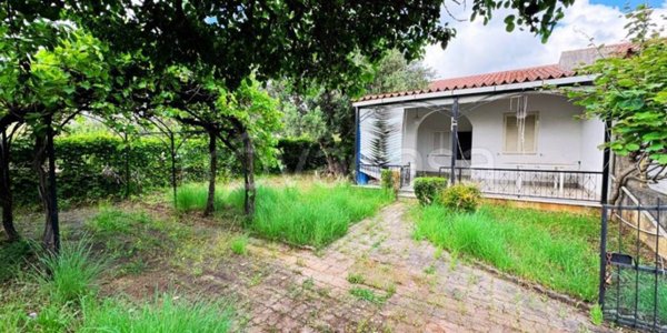 casa indipendente in vendita a Diamante