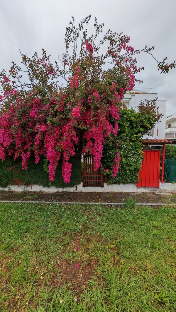 casa indipendente in vendita a Diamante