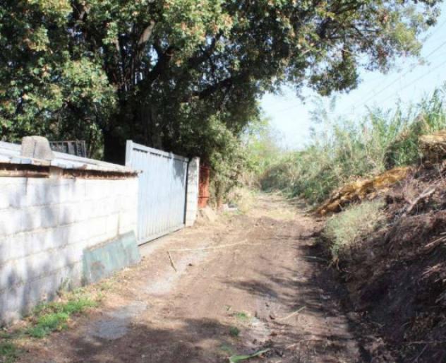 terreno agricolo in vendita a Diamante