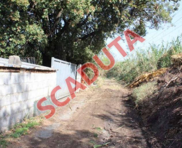 terreno agricolo in vendita a Diamante