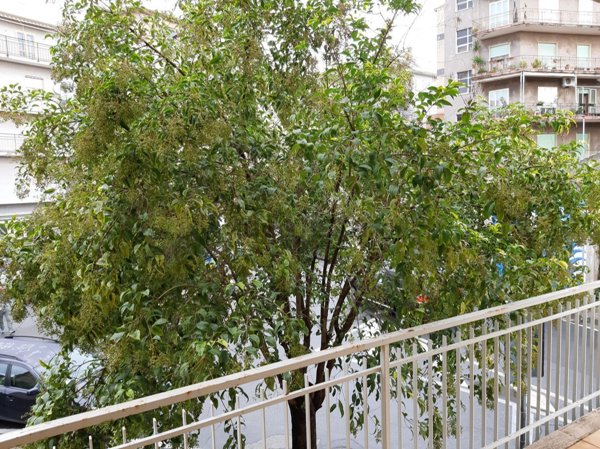 appartamento in vendita a Diamante