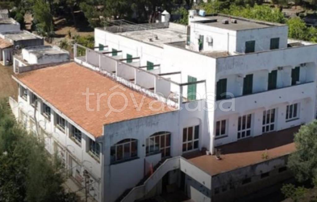 negozio in vendita a Diamante