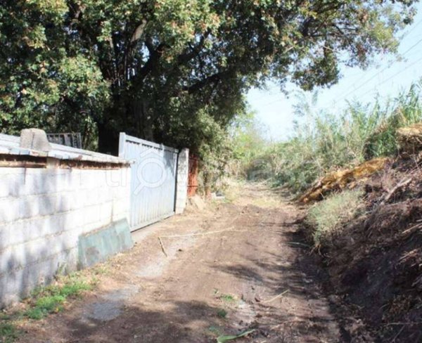 terreno agricolo in vendita a Diamante