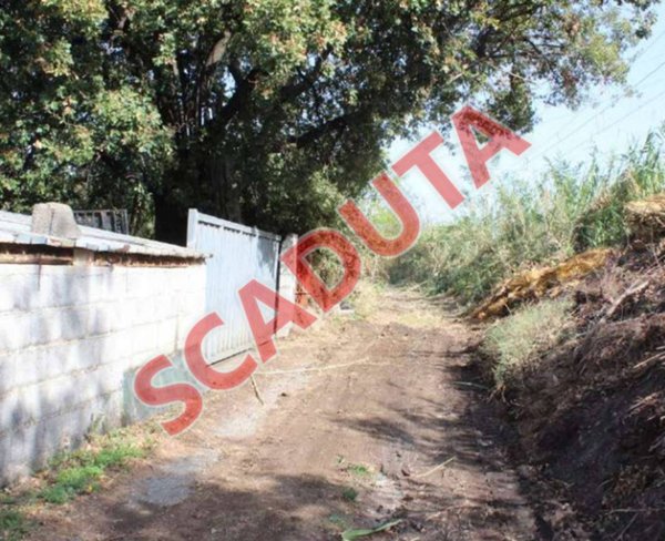 terreno agricolo in vendita a Diamante