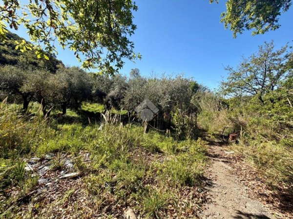terreno agricolo in vendita a Diamante