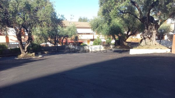 casa indipendente in vendita a Diamante