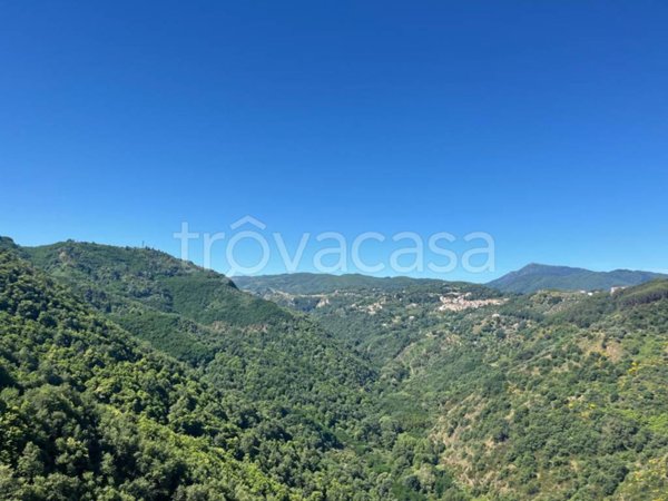 terreno agricolo in vendita a Dipignano in zona Tessano