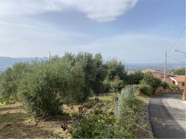 terreno agricolo in vendita a Dipignano in zona Laurignano