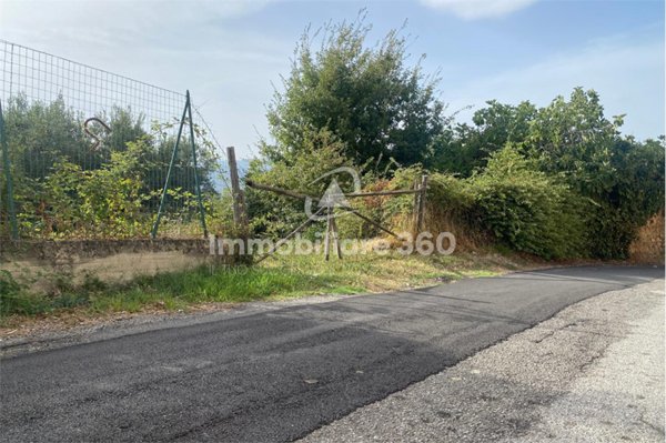 terreno agricolo in vendita a Dipignano in zona Laurignano