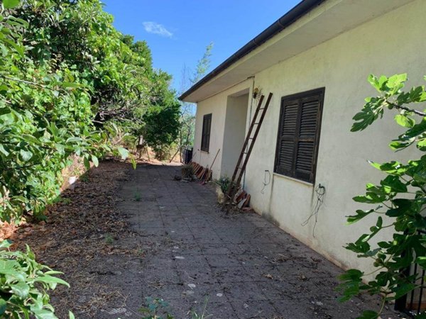 casa indipendente in vendita a Dipignano