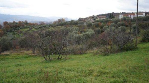 terreno edificabile in vendita a Dipignano