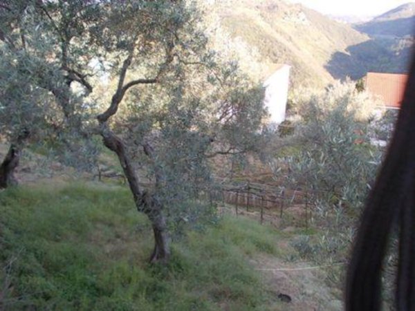terreno edificabile in vendita a Dipignano in zona Laurignano