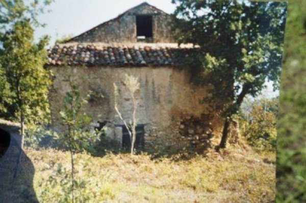 terreno agricolo in vendita a Dipignano