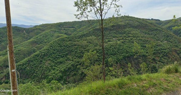 terreno agricolo in vendita a Dipignano in zona Tessano