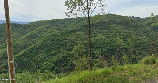 terreno agricolo in vendita a Dipignano