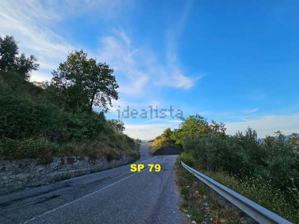 terreno agricolo in vendita a Dipignano