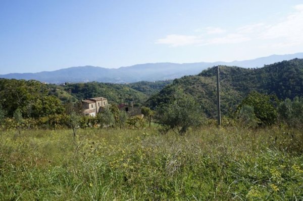 terreno agricolo in vendita a Dipignano