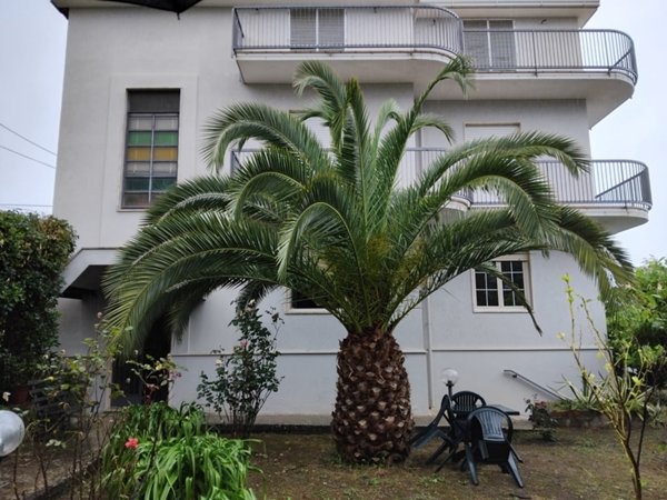 appartamento in vendita a Dipignano in zona Laurignano