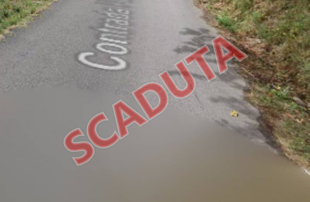 appartamento in vendita a Dipignano