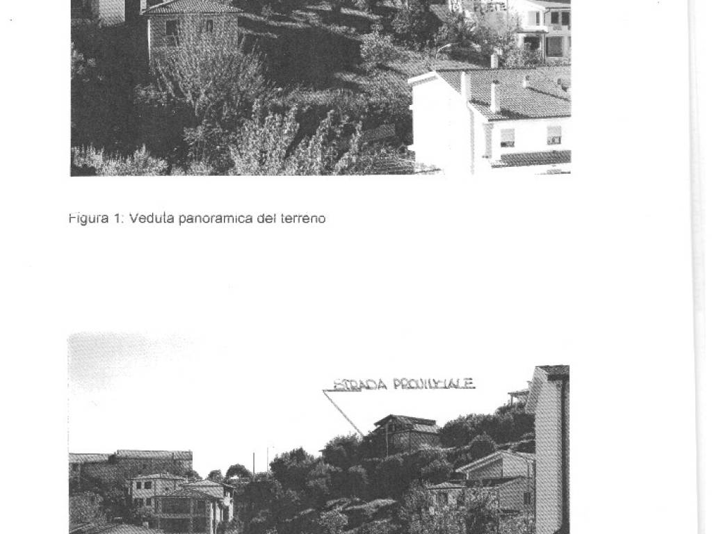 terreno agricolo in vendita a Dipignano in zona Laurignano