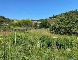 ufficio in vendita a Dipignano in zona Laurignano