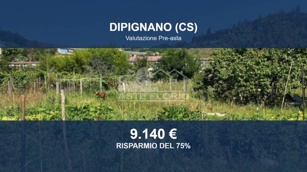 terreno agricolo in vendita a Dipignano in zona Laurignano