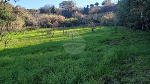 terreno agricolo in vendita a Dipignano in zona Cappuccini