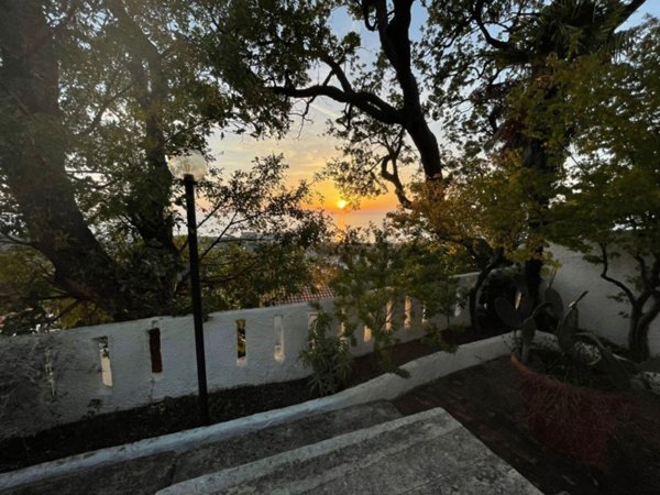 casa indipendente in vendita a Falconara Albanese