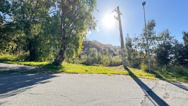 terreno agricolo in vendita a Falconara Albanese