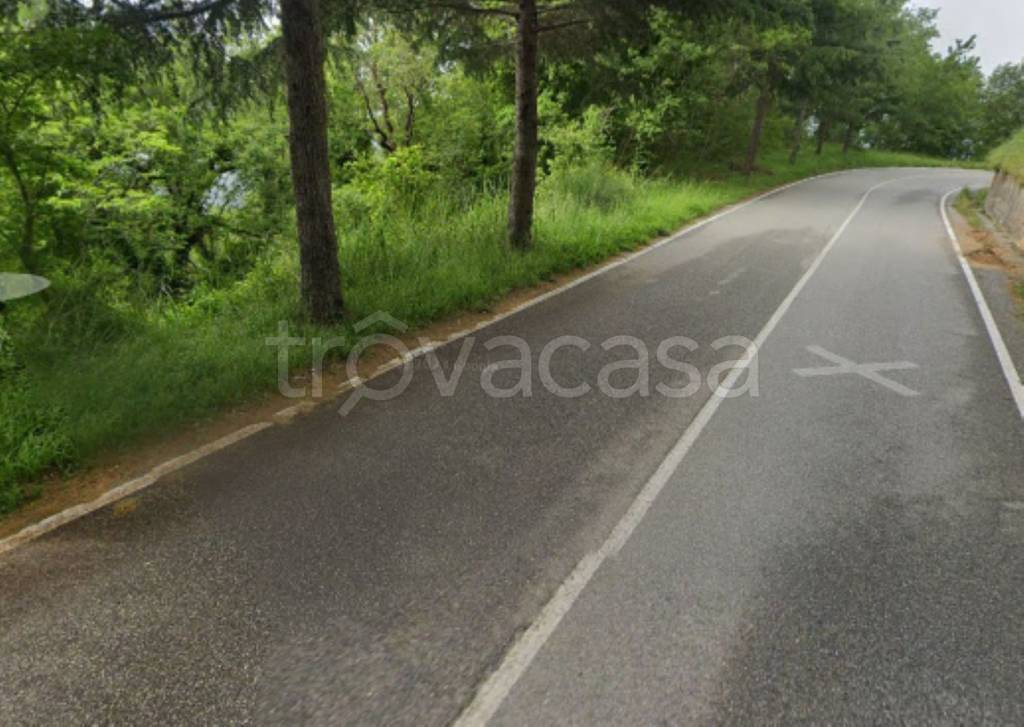 locale commerciale in vendita a Falconara Albanese
