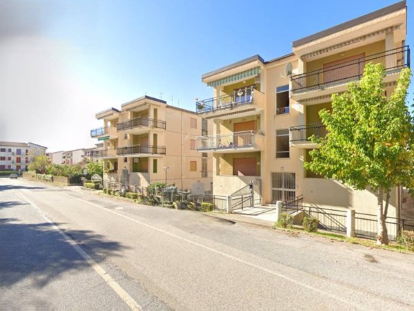 immagine annuncio 0 di 12