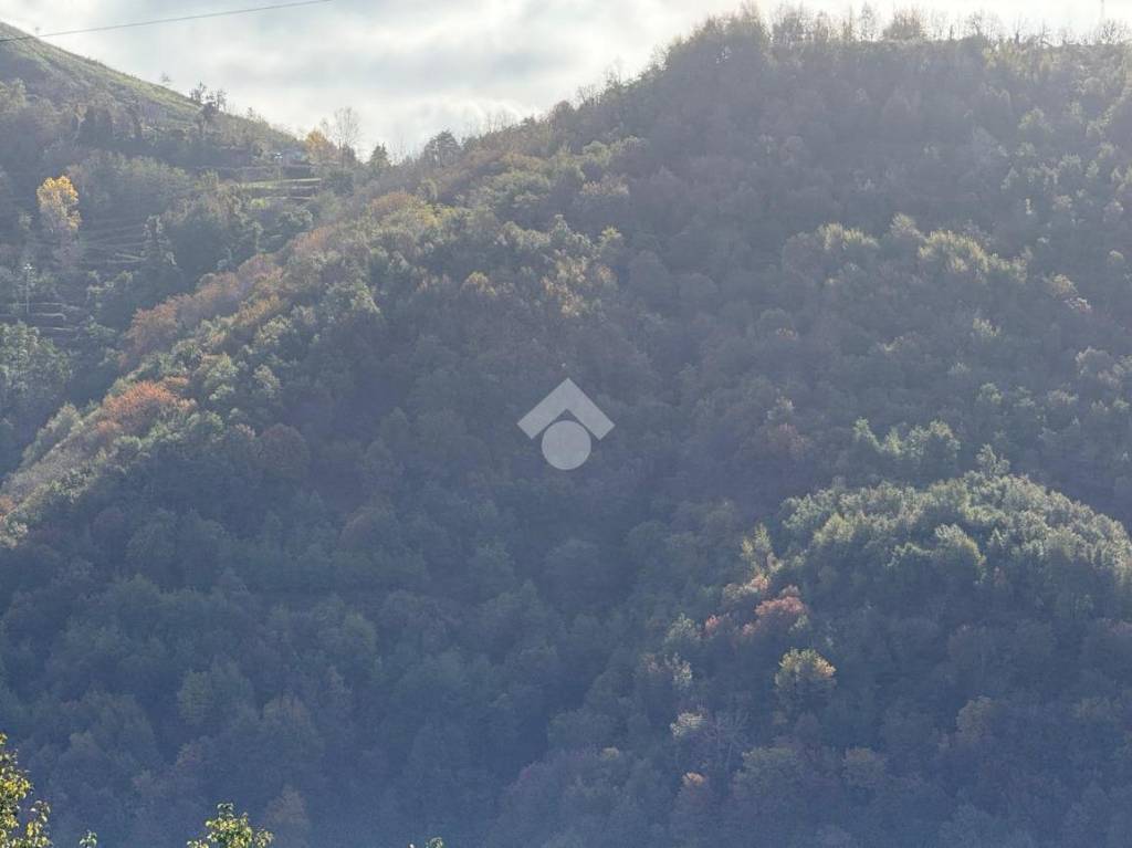 terreno agricolo in vendita a Falconara Albanese