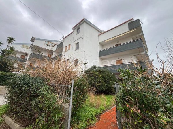 casa indipendente in vendita a Falconara Albanese