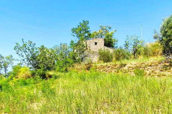casa indipendente in vendita a Falconara Albanese