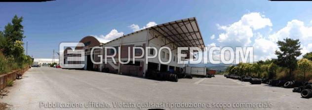 negozio in vendita a Figline Vegliaturo