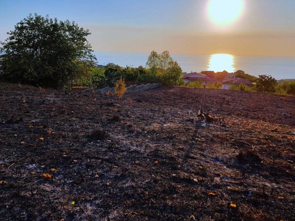 terreno agricolo in vendita a Fuscaldo in zona Scarcelli
