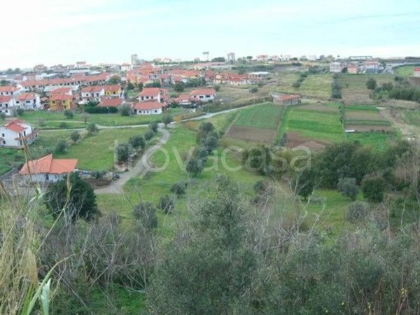 terreno agricolo in vendita a Fuscaldo