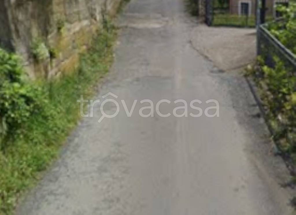 terreno agricolo in vendita a Fuscaldo